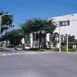 けやき通りと産業文化センター けやき通りと産業文化センター
