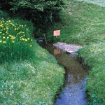 谷田の泉 谷田の泉