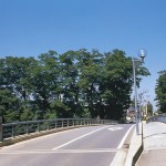 入間川の上橋と大ケヤキ 入間川の上橋と大ケヤキ