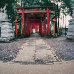 中野原稲荷神社 中野原稲荷神社