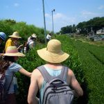 埼玉の旬を喰らう-狭山茶編(御礼) 埼玉の旬を喰らう-狭山茶編(御礼)