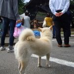 春日野部屋稽古2日目 春日野部屋稽古2日目
