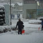 雪(続報) 雪(続報)