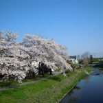 3月31日(土)に… 3月31日(土)に…