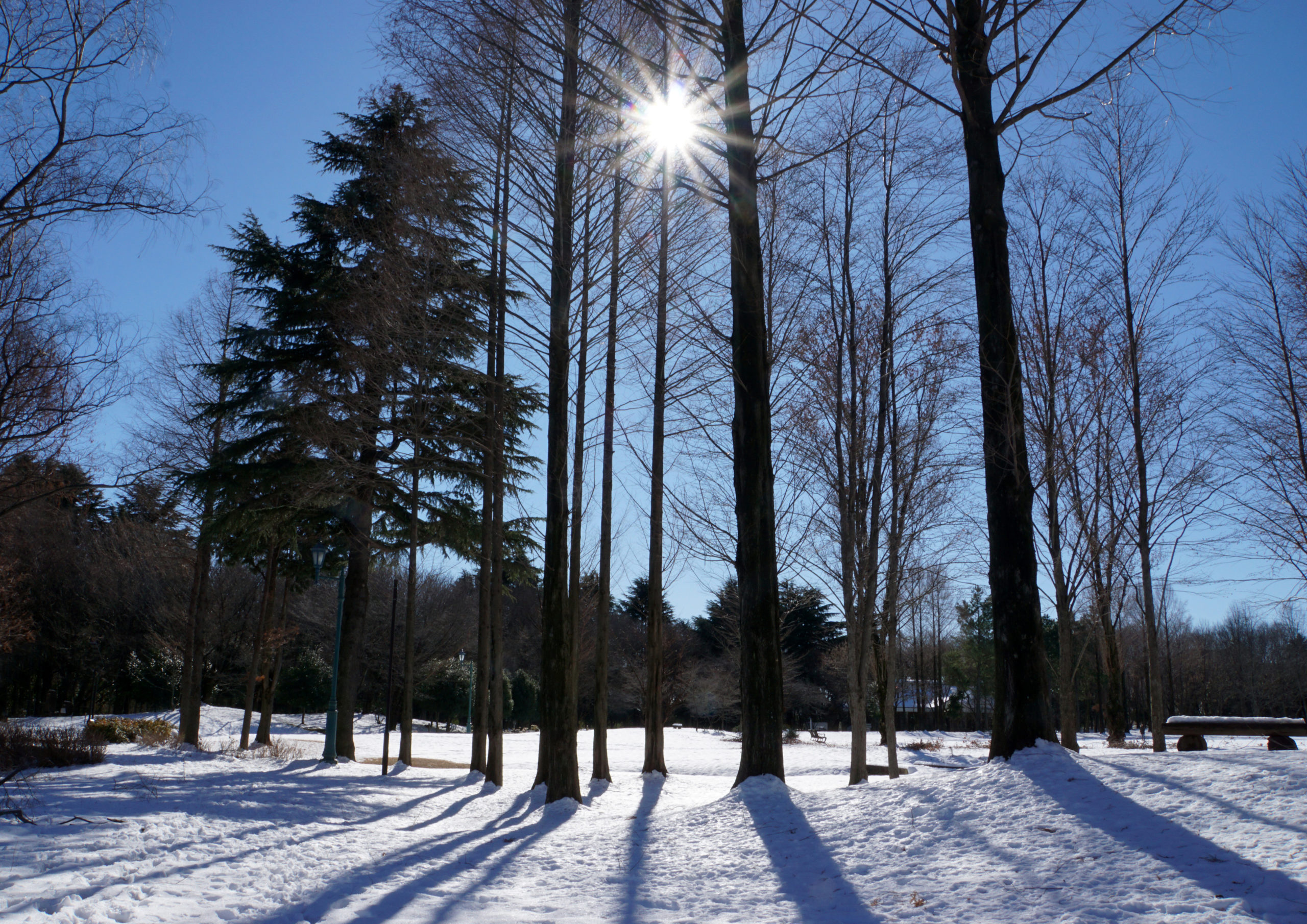 ホーム 入間市観光協会